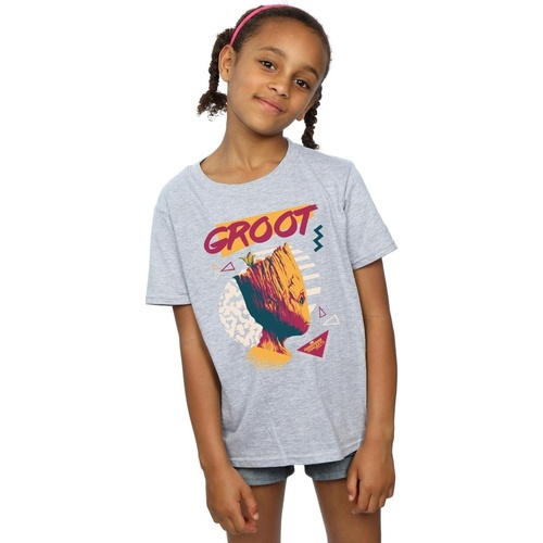 Vêtements Fille T-shirts manches longues Marvel Guardians Of The Galaxy Vol. 2 80s Groot Gris