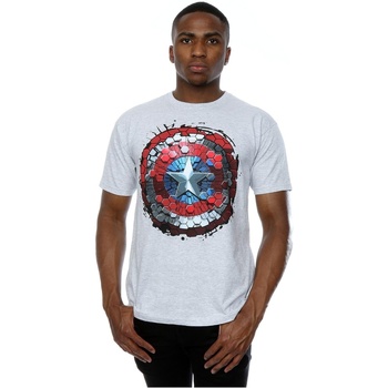 Vêtements Homme T-shirts manches longues Marvel Captain America Civil War Hex Shield Gris