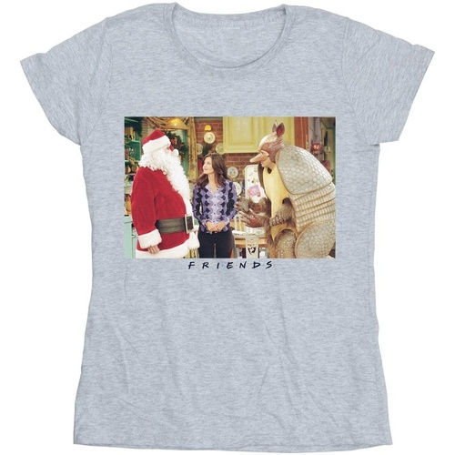 Vêtements Femme T-shirts manches longues Friends Christmas Armadillo Gris