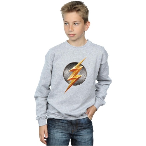 Vêtements Garçon Sweats Dc Comics Justice League Movie Flash Emblem Gris