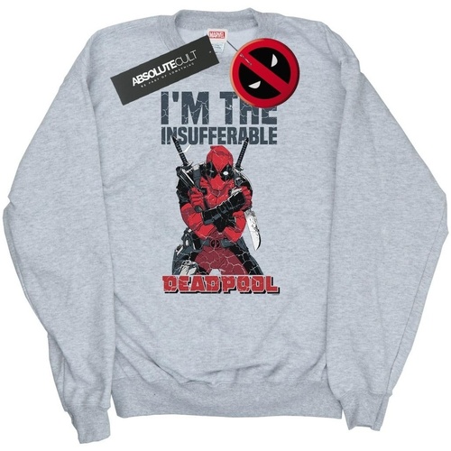 Vêtements Homme Sweats Marvel Deadpool I'm The Insufferable Gris