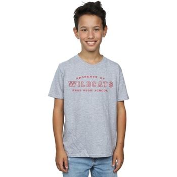 Vêtements Garçon T-shirts manches courtes Disney High School Musical The Musical Property Of Wildcats Gris