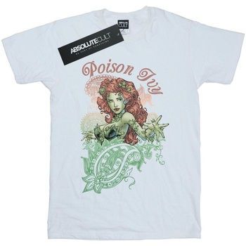 Vêtements Garçon T-shirts manches courtes Dc Comics Poison Ivy Paisley Blanc
