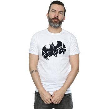 Vêtements Homme T-shirts manches longues Dc Comics Batman One Colour Shield Blanc