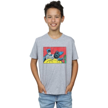 Vêtements Garçon T-shirts manches courtes Dc Comics Batman Robin Slap Gris
