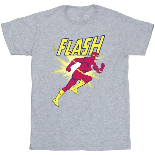 Vêtements Homme T-shirts manches longues Dc Comics The Flash Running Gris