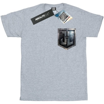 Vêtements Garçon T-shirts manches courtes Dc Comics Justice League Movie Shield Faux Pocket Gris