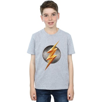 Vêtements Garçon T-shirts manches courtes Dc Comics Justice League Movie Flash Emblem Gris
