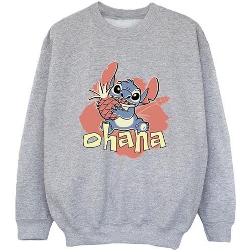 Vêtements Garçon Sweats Disney Lilo And Stitch Ohana Pineapple Gris