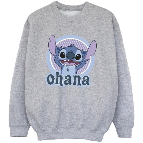 Vêtements Garçon Sweats Disney Lilo And Stitch Ohana Circle Gris