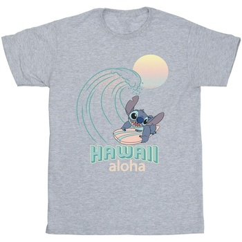 Vêtements Garçon T-shirts manches courtes Disney Lilo And Stitch Hawaii Gris