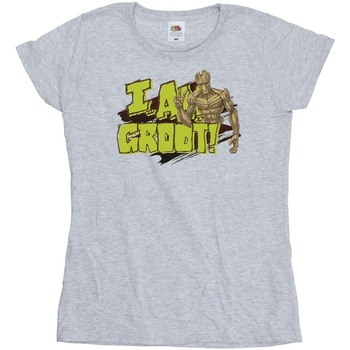 Vêtements Femme T-shirts manches longues Guardians Of The Galaxy I Am Groot Gris