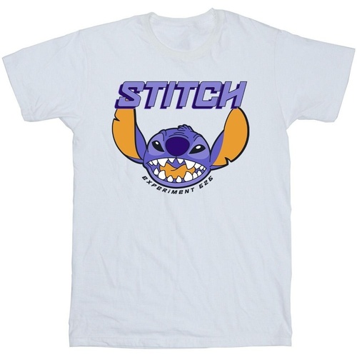 Vêtements Garçon T-shirts manches courtes Disney Lilo And Stitch Purple Blanc