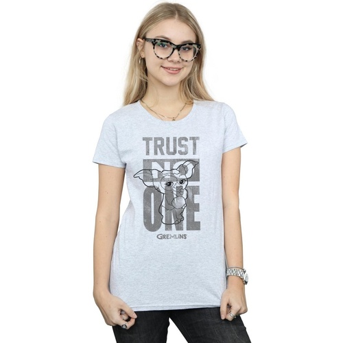 Vêtements Femme T-shirts manches longues Gremlins Trust One Mogwai Gris