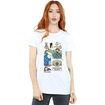Vêtements Femme T-shirts manches longues Fantastic Beasts BI22810 Blanc