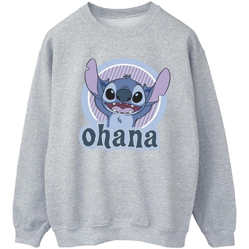 Vêtements Femme Sweats Disney Lilo And Stitch Ohana Circle Gris