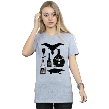 Vêtements Femme T-shirts manches longues Fantastic Beasts Plain Icons Gris