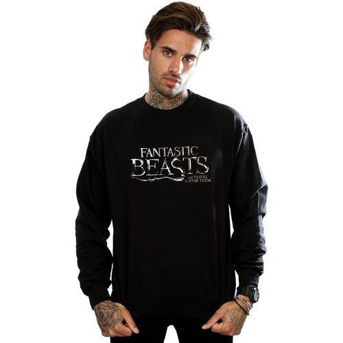 Vêtements Homme Sweats Fantastic Beasts Text Logo Noir