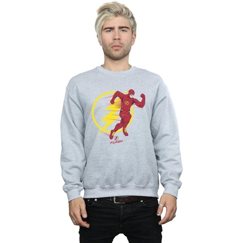 Vêtements Homme Sweats Dc Comics The Flash Running Emblem Gris