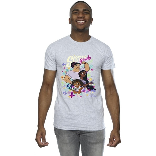 Vêtements Homme T-shirts manches longues Disney Encanto Sister Goals Gris