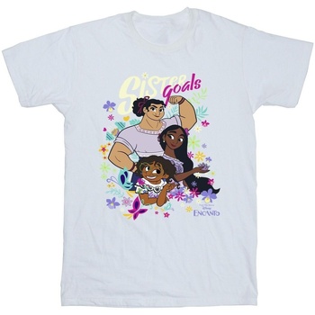 Vêtements Homme T-shirts manches longues Disney Encanto Sister Goals Blanc