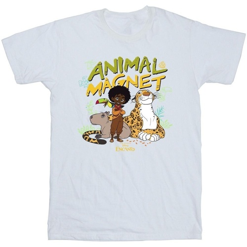 Vêtements Homme T-shirts manches longues Disney Encanto Animal Magnet Blanc