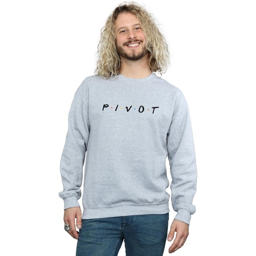 Vêtements Homme Sweats Friends Pivot Logo Gris