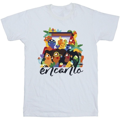 Vêtements Homme T-shirts manches longues Disney Encanto Sisters Blanc
