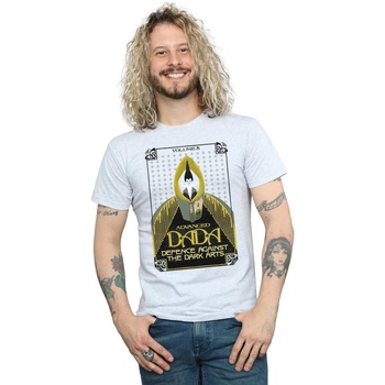 Vêtements Homme T-shirts manches longues Fantastic Beasts Advanced DADA Gris