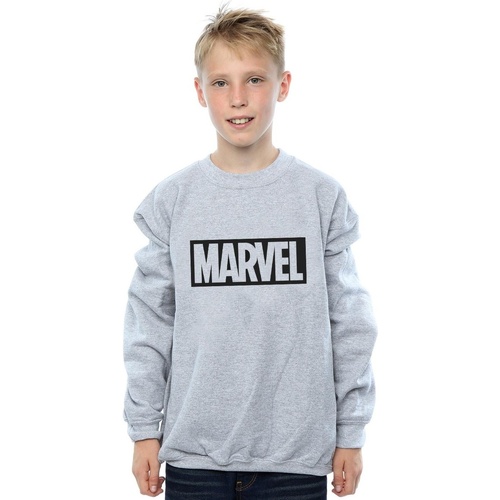Vêtements Garçon Sweats Marvel Logo Outline Gris