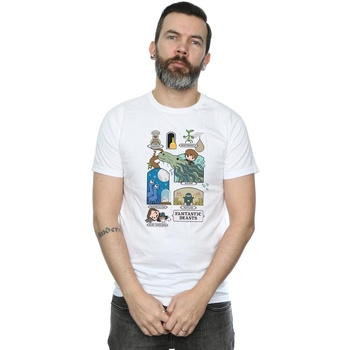 Vêtements Homme T-shirts manches longues Fantastic Beasts Chibi Newt Blanc