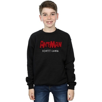 Vêtements Garçon Sweats Marvel Ant-Man AKA Scott Lang Noir