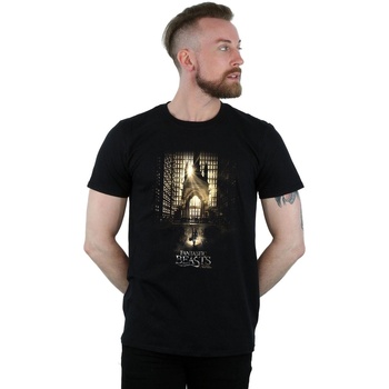 Vêtements Homme T-shirts manches longues Fantastic Beasts Movie Poster Noir