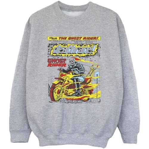 Vêtements Garçon Sweats Marvel Ghost Rider Chest Deathrace Gris