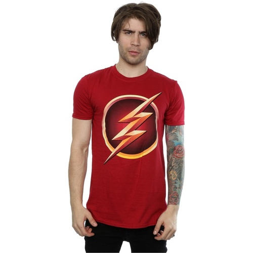 Vêtements Homme T-shirts manches longues Dc Comics The Flash Emblem Multicolore