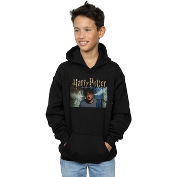 Vêtements Garçon Sweats Harry Potter Steam Ears Noir