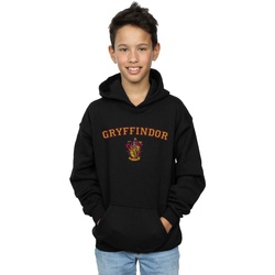 Vêtements Garçon Sweats Harry Potter Gryffindor Crest Noir