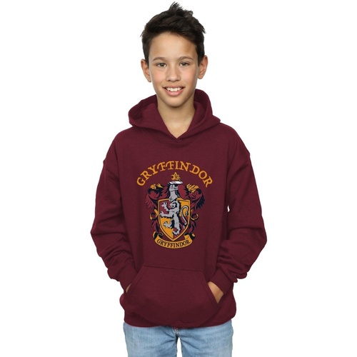 Vêtements Garçon Sweats Harry Potter Gryffindor Crest Multicolore