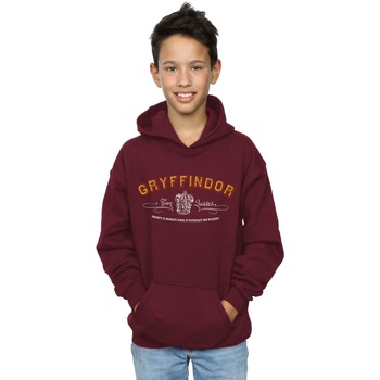 Vêtements Garçon Sweats Harry Potter Gryffindor Team Quidditch Multicolore