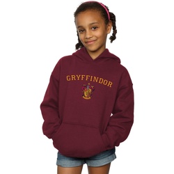 Vêtements Fille Sweats Harry Potter Gryffindor Crest Multicolore