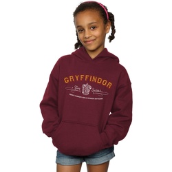 Vêtements Fille Sweats Harry Potter Gryffindor Team Quidditch Multicolore