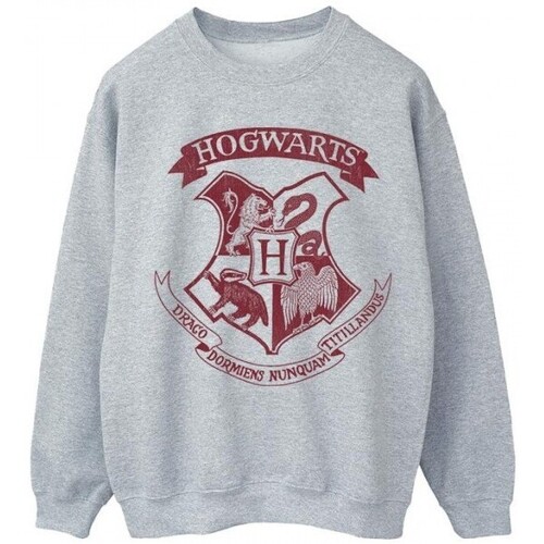 Vêtements Femme Sweats Harry Potter Hogwarts Crest Gris