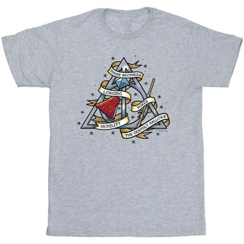 Vêtements Garçon T-shirts manches courtes Harry Potter Mules / Sabots Gris
