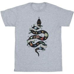 Vêtements Garçon T-shirts manches courtes Harry Potter Slytherin Sketch Gris