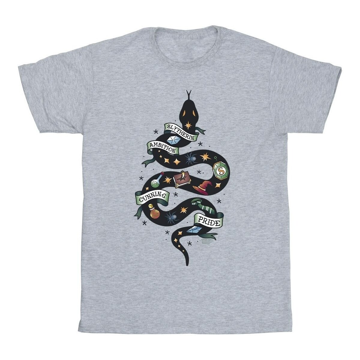 Vêtements Garçon T-shirts manches courtes Harry Potter Slytherin Sketch Gris