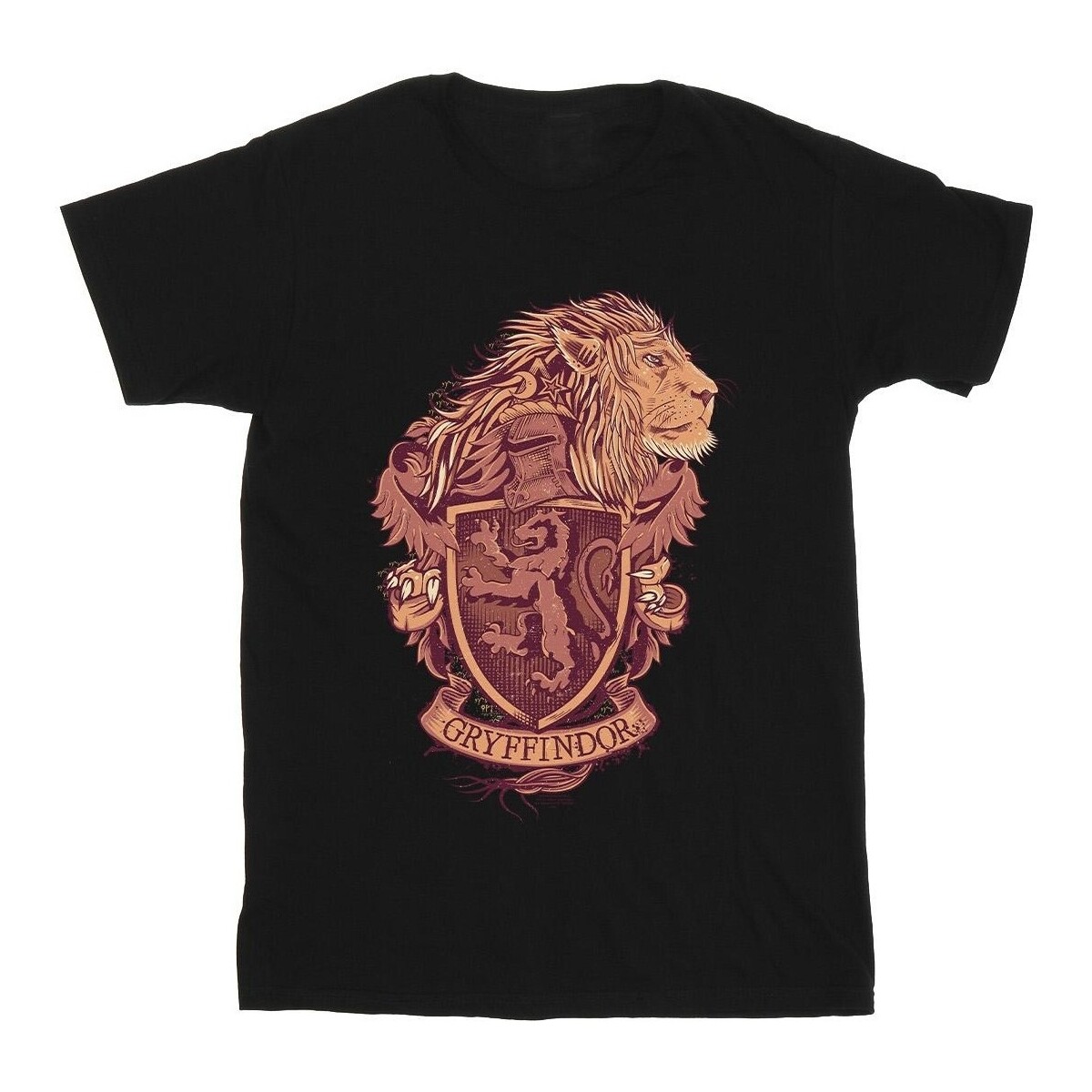 Vêtements Garçon T-shirts dolce manches courtes Harry Potter Gryffindor Sketch Crest Noir