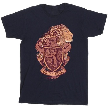 Vêtements Garçon T-shirts manches courtes Harry Potter Gryffindor Sketch Crest Bleu
