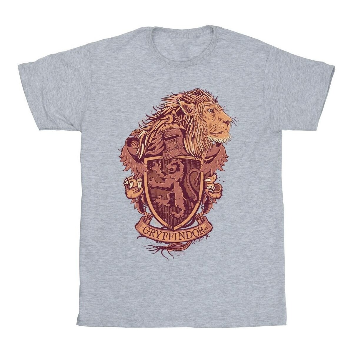 Vêtements Garçon T-shirts manches courtes Harry Potter Gryffindor Sketch Crest Gris