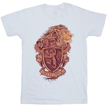 Vêtements Garçon T-shirts manches courtes Harry Potter Gryffindor Sketch Crest Blanc