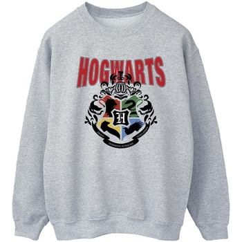 Vêtements Femme Sweats Harry Potter Hogwarts Emblem Gris